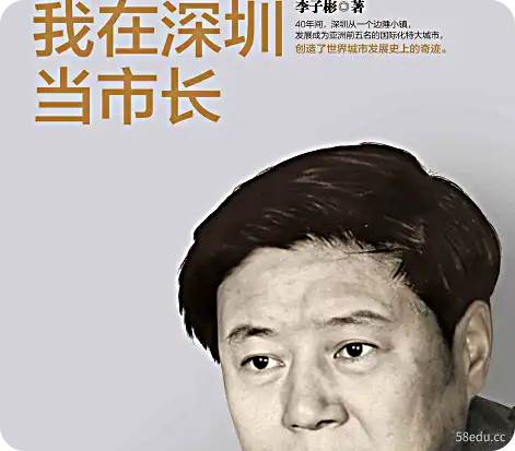 我是深圳市长 PDF+mobi+txt 电子书下载