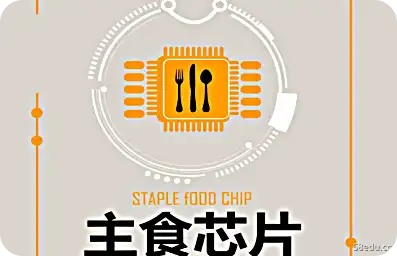 主食芯片：食品的未来是功能性主食 PDF