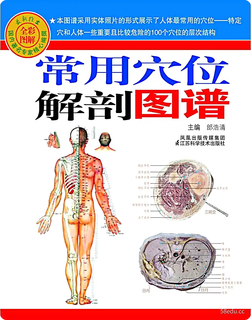 常用穴位解剖图谱(全彩图解) (邰浩清)PDF版本|百度网盘下载-不可思议资源网