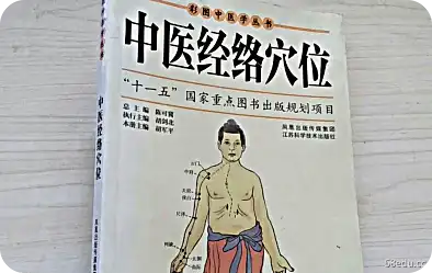 传统中医中医经络穴位pdf