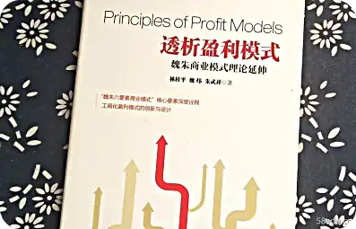 盈利模型透析用pdf
