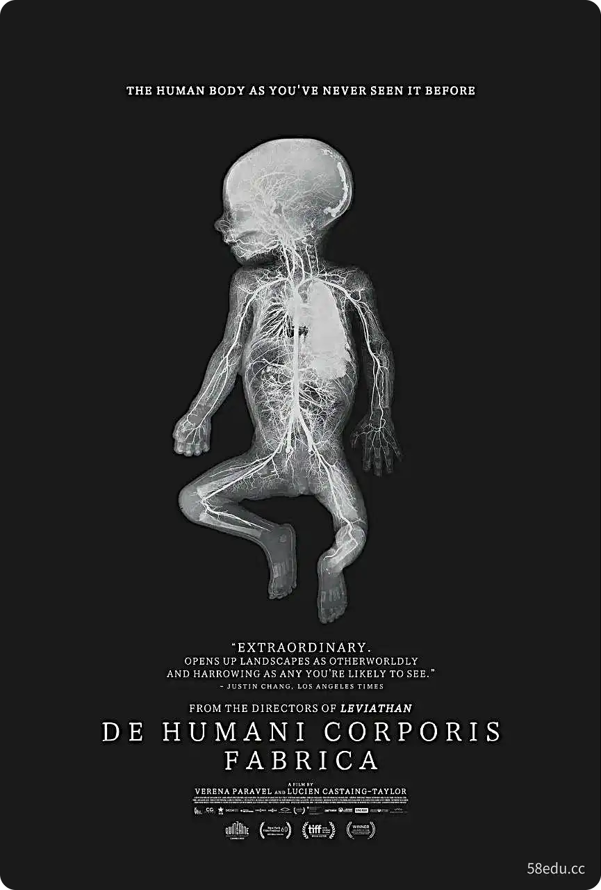 《人体结构》纪录片-不可思议资源网