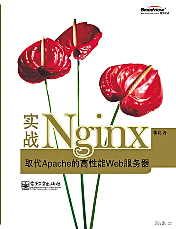 实用Nginx张Yanpdf