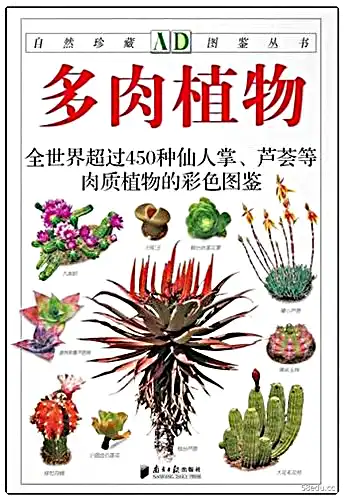 450种植物插图中的多肉植物 PDF