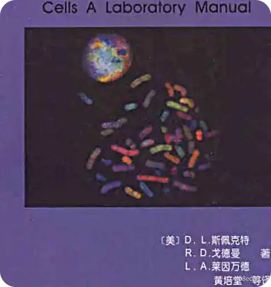 细胞实验指南 Vol.1 + Vol.2 电子书 PDF 下载