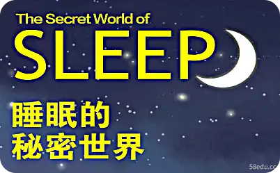 Sleep's秘密世界 秘密世界PDF