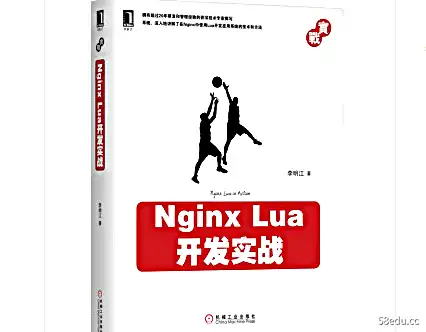 Nginx Lua开发实践PDF电子书下载