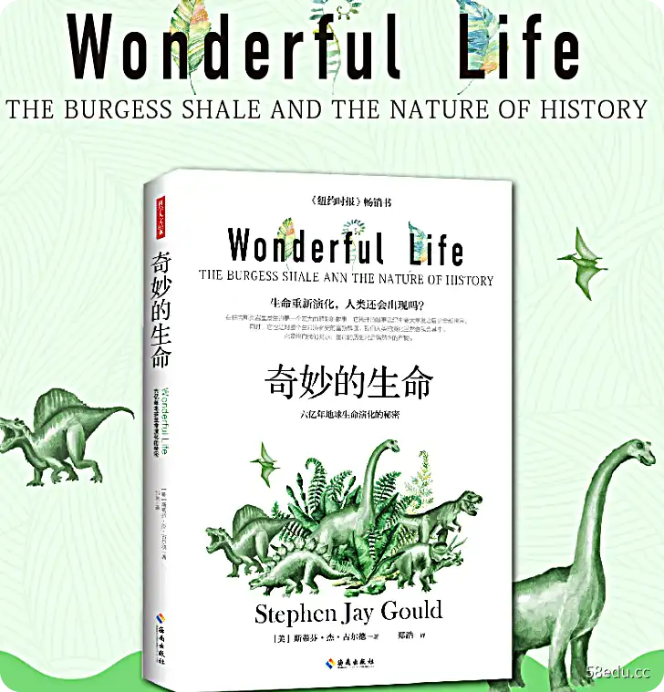 Wonderful Life Gould pdf