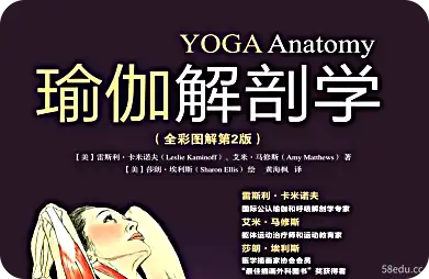 瑜伽解剖学学习pdf下载