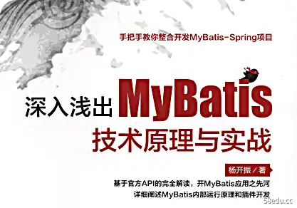 MyBatis技术原理与实用PDF简体电子书下载