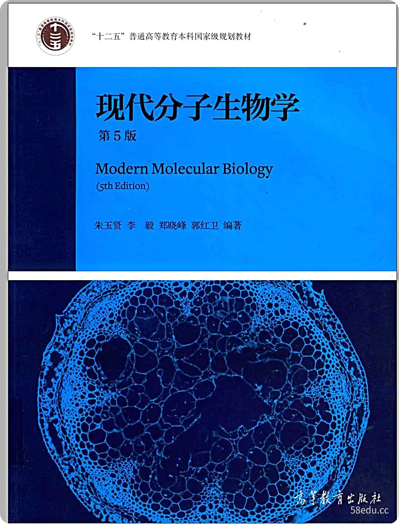 现代分子生物学原书第五版朱玉贤电子书pdf下载|百度网盘下载-不可思议资源网