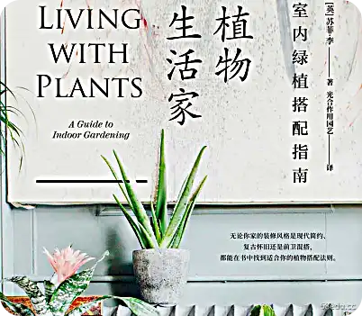 植物生活之家：室内绿色植物搭配指南PDF电子书百度网盘下载
