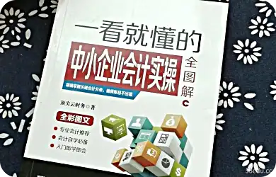 中小会计实务PDF