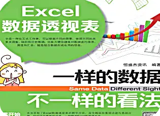 Excel数据透视表格pdf