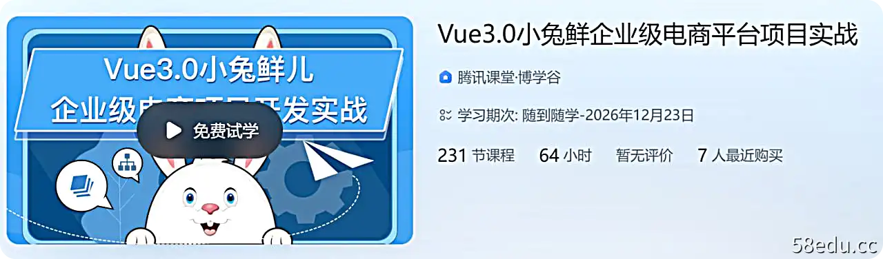 Vue3.0小兔鲜企业级电商平台项目实战-不可思议资源网
