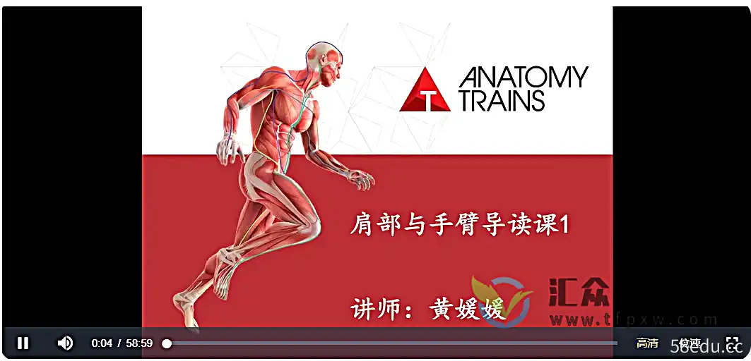 Anatomy Train - 肩部和手臂、头部、颈部和下巴图