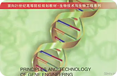 基因工程原理和技术pdf