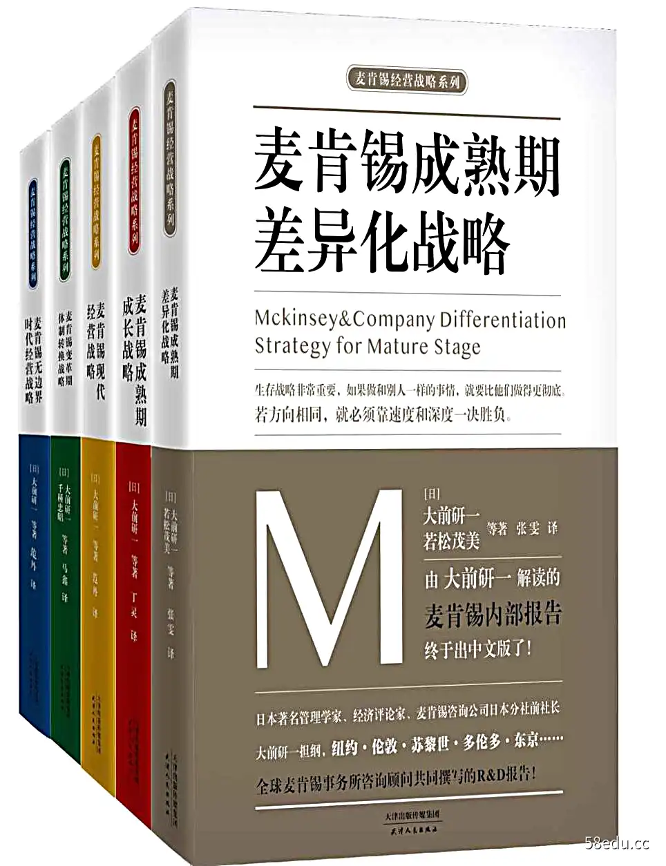 麦肯锡企业管理战略合集pdf套装共5册|百度网盘下载-不可思议资源网