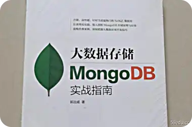 Big数据存储mongodb实用指南