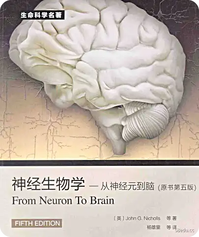 从神经元到大脑的神经生物学原书第5版pdf下载